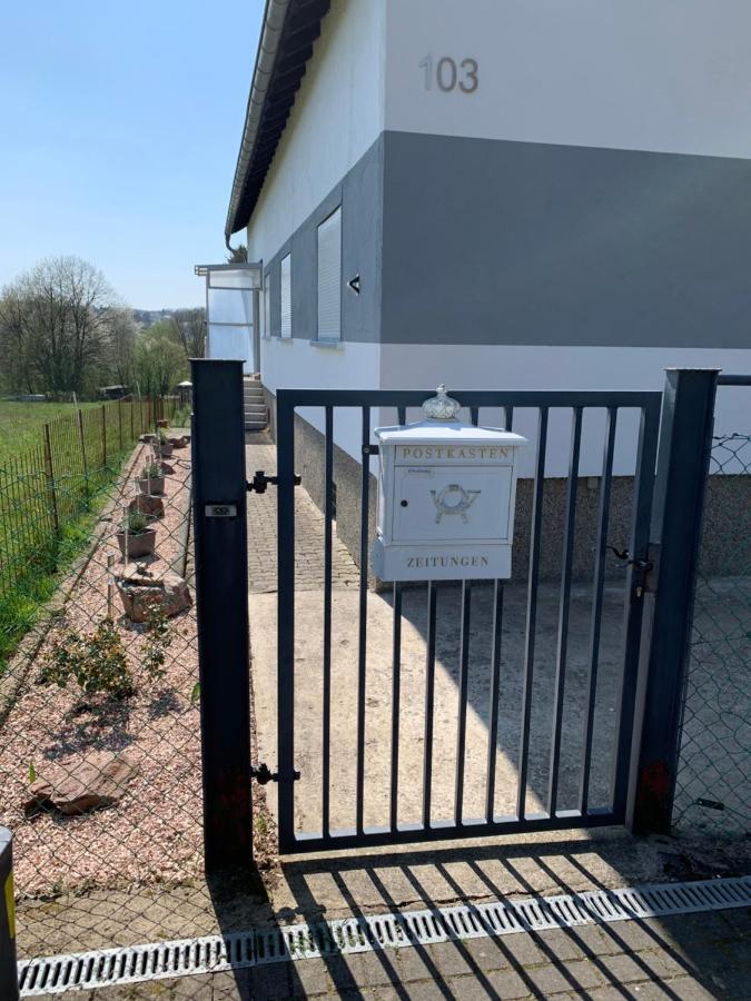 Ferienwohnung Sunny - Moderne Ferienwohnung Im Gruenen In Saarbruecken-West Exteriör bild