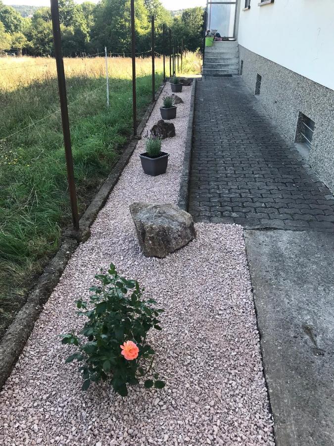 Ferienwohnung Sunny - Moderne Ferienwohnung Im Gruenen In Saarbruecken-West Exteriör bild