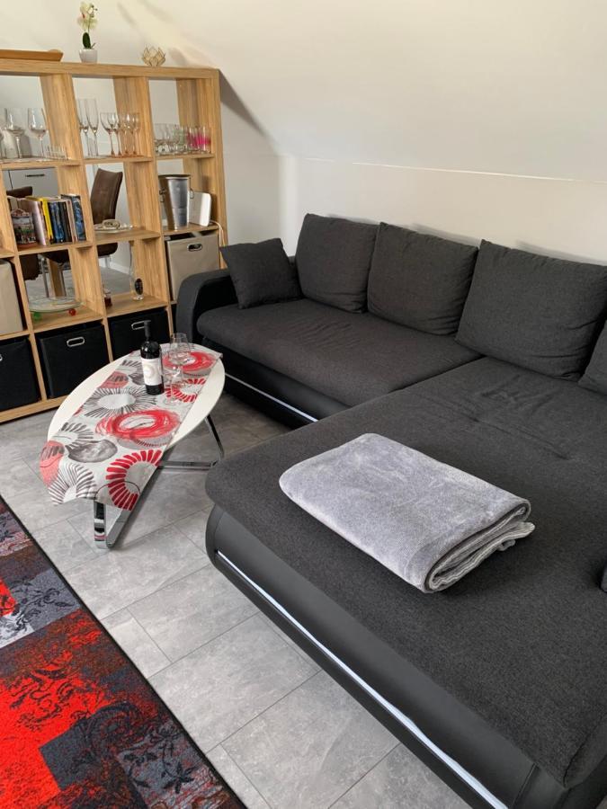 Ferienwohnung Sunny - Moderne Ferienwohnung Im Gruenen In Saarbruecken-West Exteriör bild